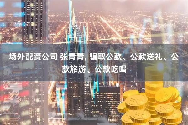 场外配资公司 张青青, 骗取公款、公款送礼、公款旅游、公款吃喝