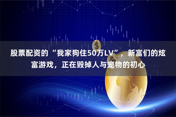 股票配资的 “我家狗住50万LV”,新富们的炫富游戏,正在毁掉人与宠物的初心