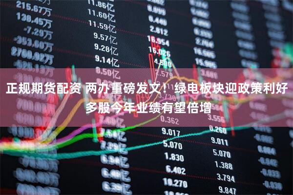 正规期货配资 两办重磅发文！绿电板块迎政策利好 多股今年业绩有望倍增